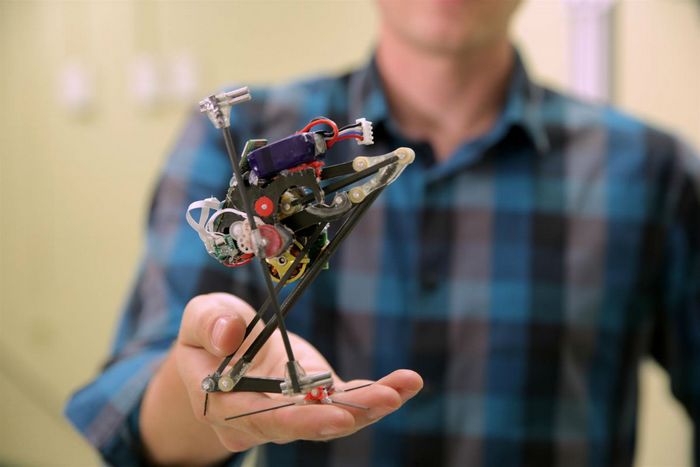 Десять роботов, на создание которых инженеров вдохновили животные и насекомые